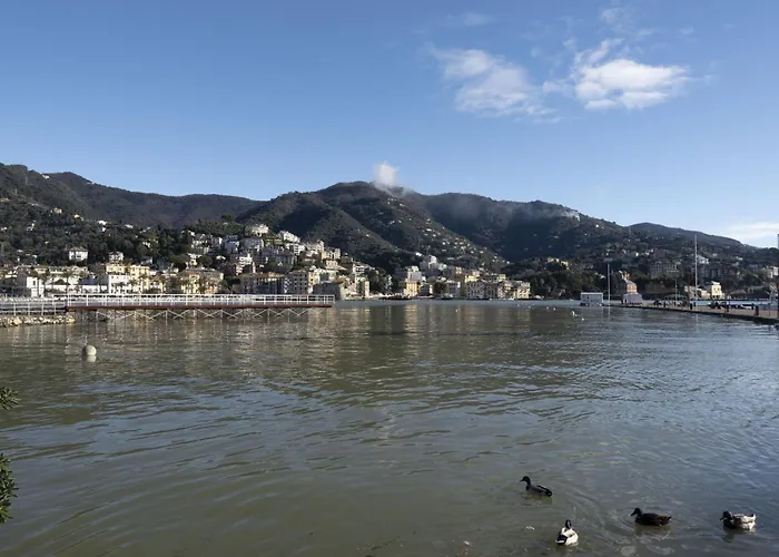 Διαμέρισμα Firefly